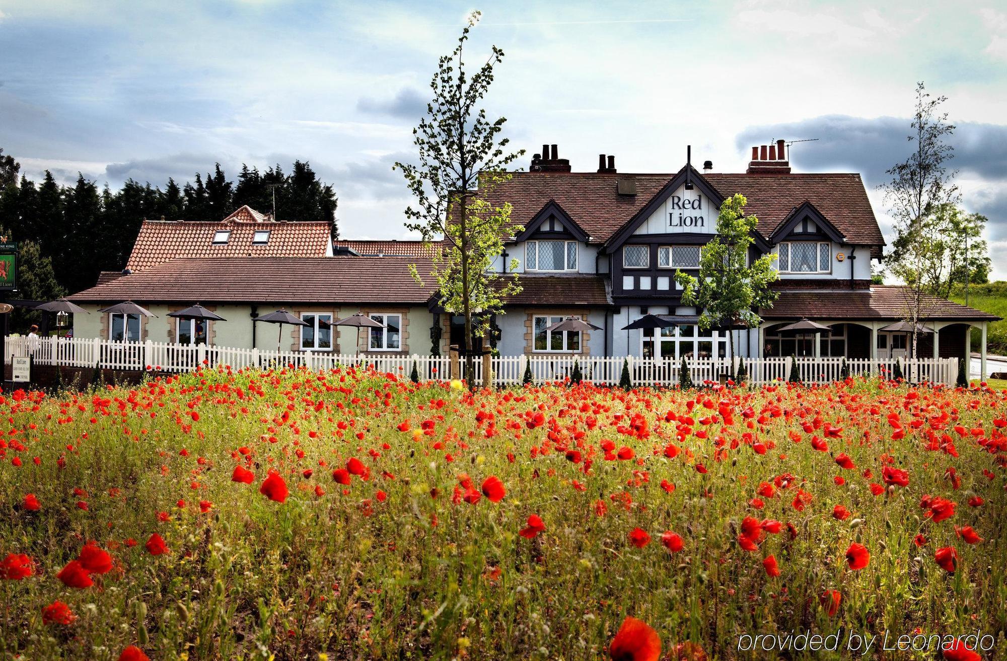 The Red Lion Inn By Chef & Brewer Collection Todwick المظهر الخارجي الصورة