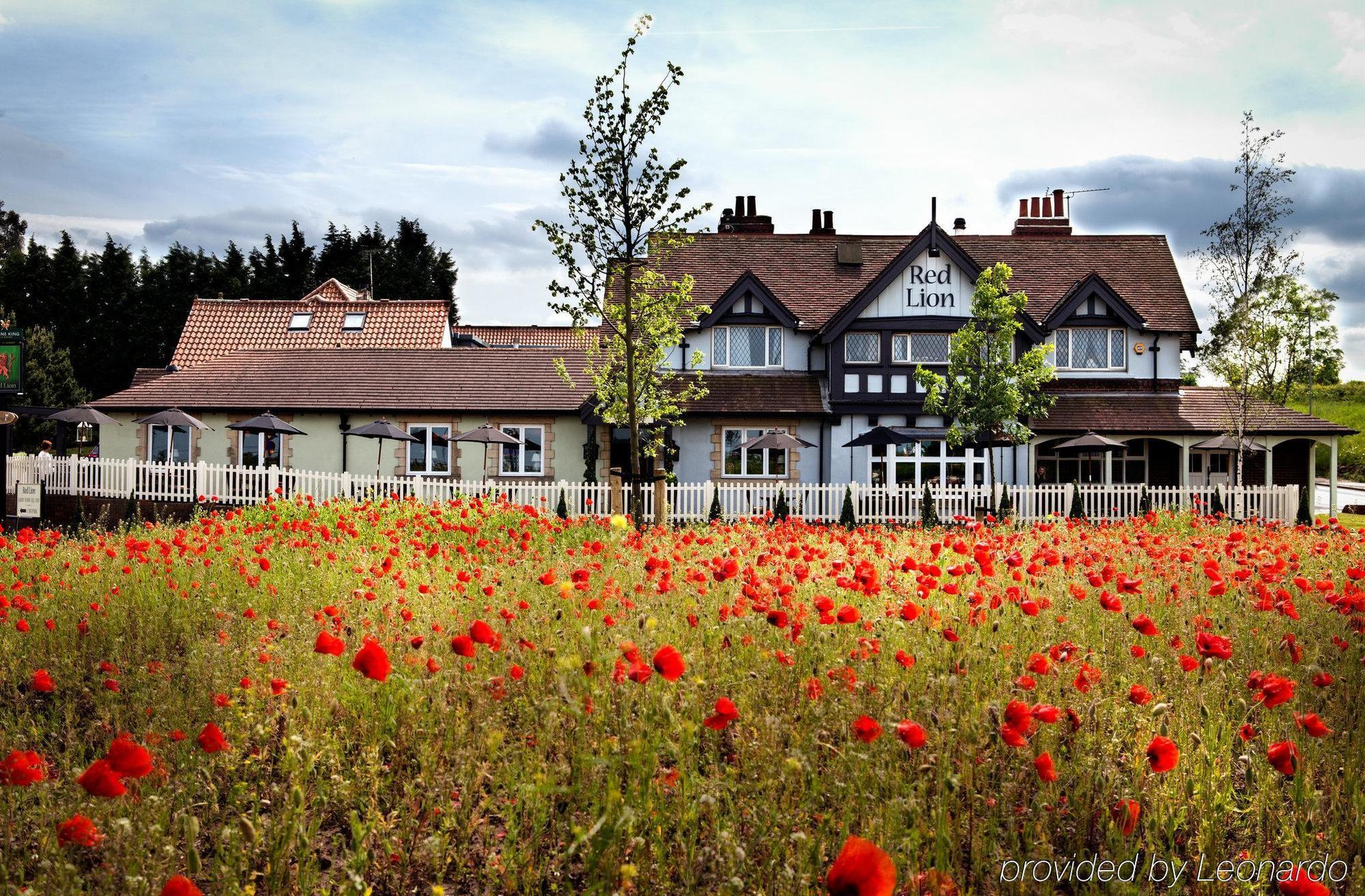 Todwick The Red Lion Inn By Chef & Brewer Collection المظهر الخارجي الصورة