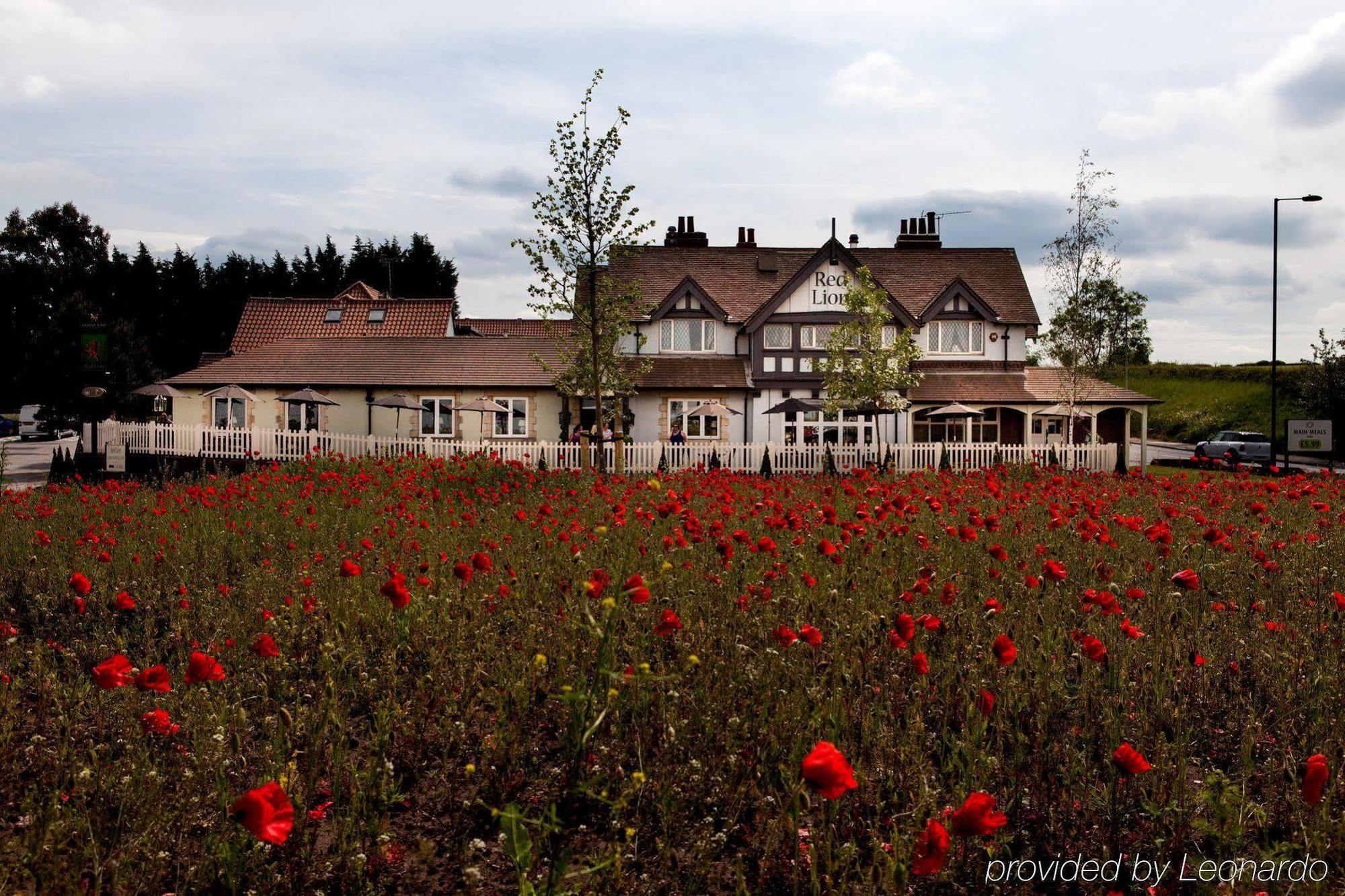 The Red Lion Inn By Chef & Brewer Collection Todwick المظهر الخارجي الصورة