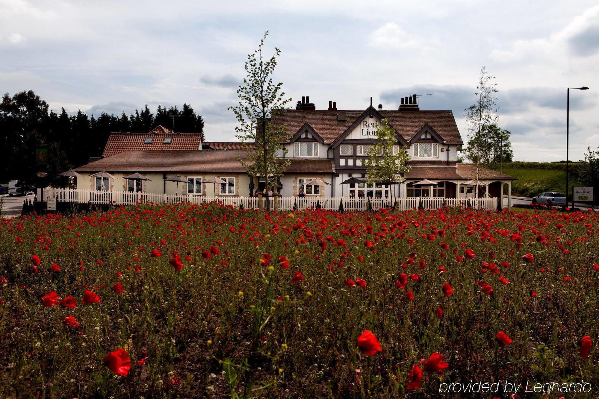 Todwick The Red Lion Inn By Chef & Brewer Collection المظهر الخارجي الصورة